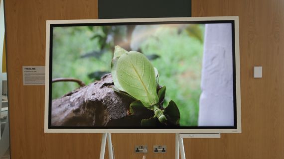 Ruth Maclennan and Rodell Warner: Install at the ARC, Glasgow | Credit: Kevin Leomo